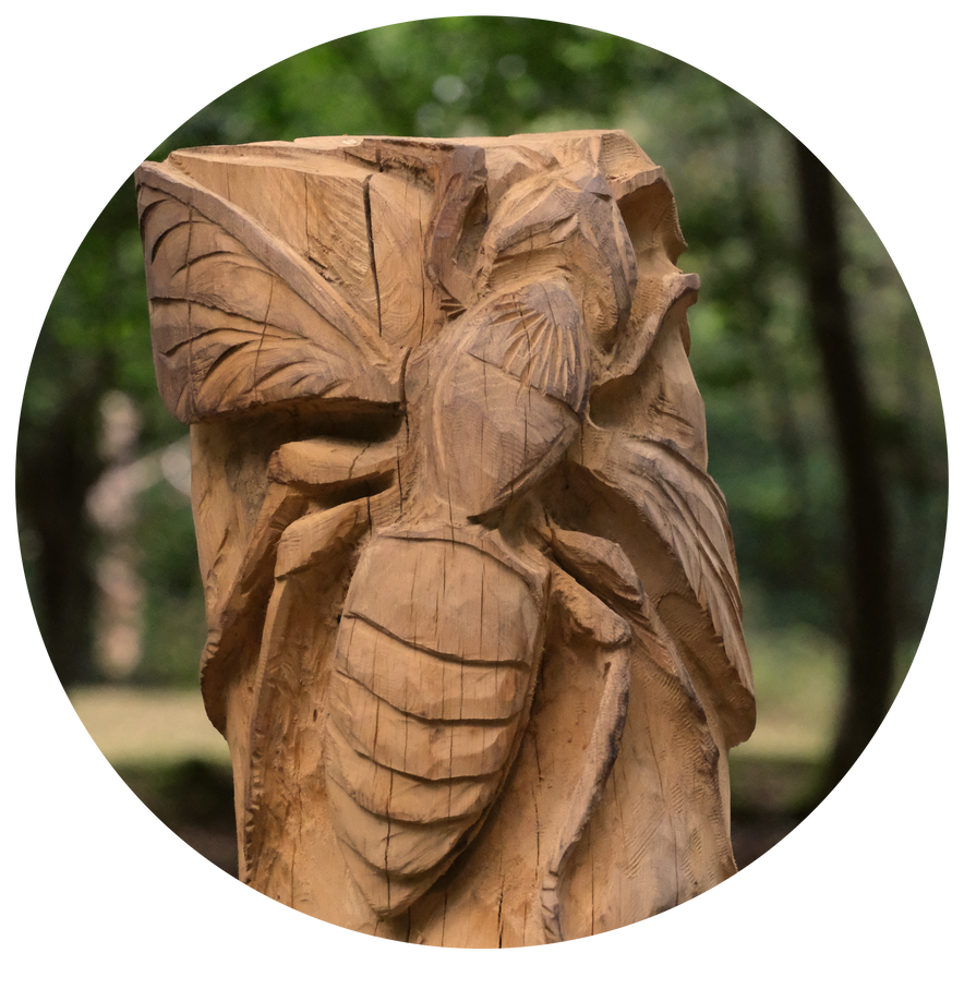 Sensory trail wooden sculpture of a hornet