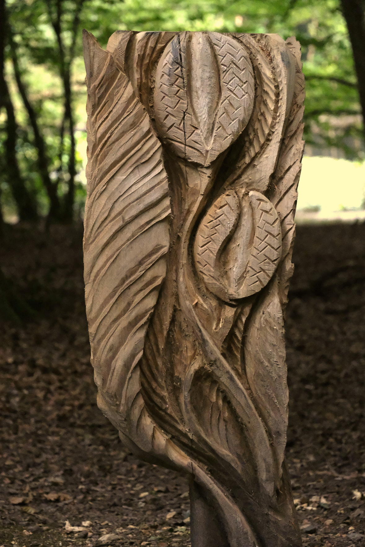 a carving of a beech tree with leaves on it in the woods