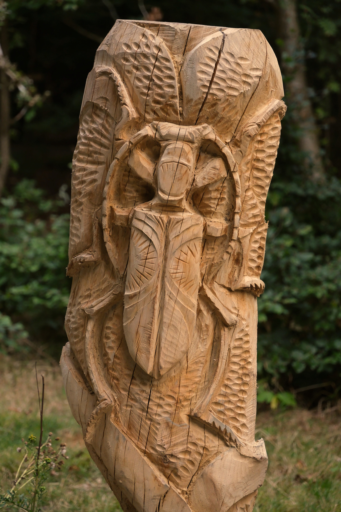 a carving of a longhorn beetle on a tree in the woods