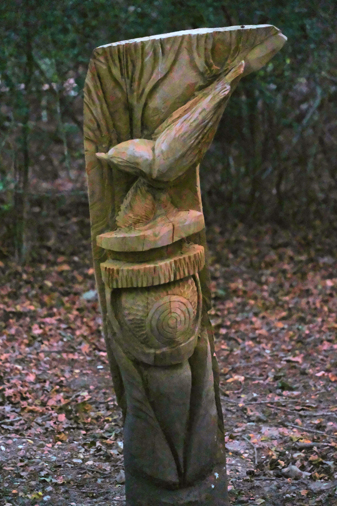 A wooden sculpture of a nuthatch in the woodland