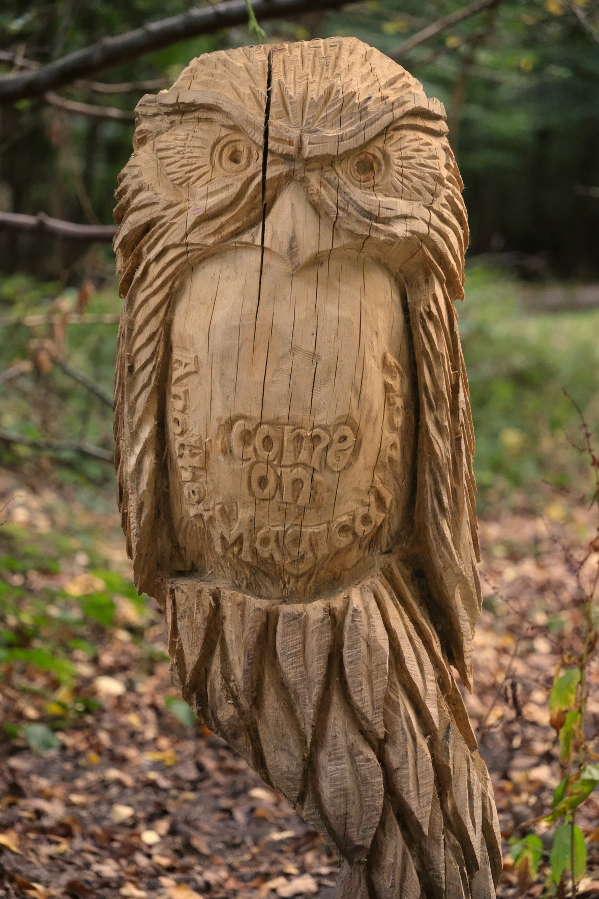 an owl carved out of wood in the woods