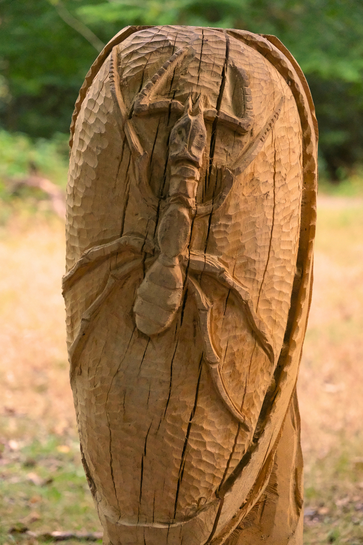 a wooden sculpture of a wood ant in the middle of the woodland